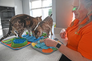 Amanda is committed to educating as many people as possible about cat welfare