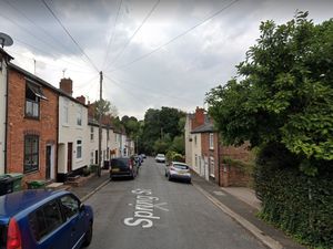 Supporting image for story: Two dogs die in 'severe' Dudley house fire 