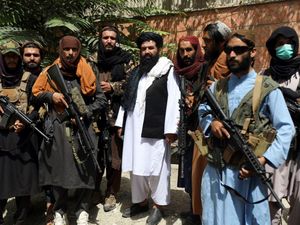 Supporting image for story: Peter Rhodes on a not-so-doomed tree, the loneliness of pandas and why the welcome for Afghans could be lukewarm