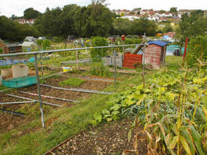 Supporting image for story: Leader - Our children need to learn about danger