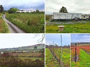 Supporting image for story: Large fruit-growing firm loses planning battle to allow polytunnels and worker caravans at Herefordshire farm