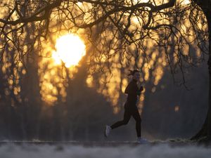 Sun shines through trees as a runner makes her way through a frosty park