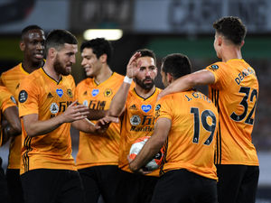 Supporting image for story: Steve Bull: It has been a tremendous season for Wolves 