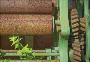 4. Mark Jones - Abandoned Mangle