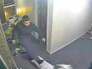 Supporting image for story: JAILED: Walsall bird torturer given six months custody