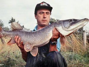 Supporting image for story: Feared pike get a bad press says Paul