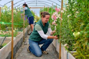 Emily and Tiff have done all the work themselves