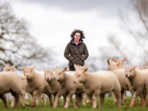 Supporting image for story: £26,250 sheep price is Shockin for Shropshire farmer Abbie 