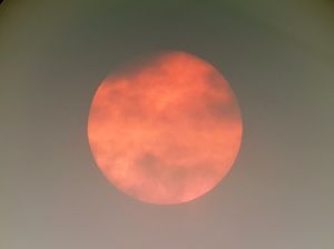 The red sun up close over Shropshire. Credit: Tom Lowe