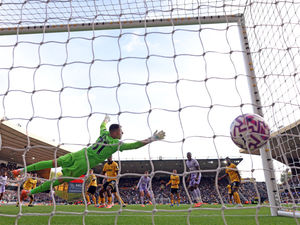 Supporting image for story: Liam Keen's Wolves player ratings v Brighton after another late equaliser