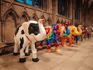 Supporting image for story: St Giles Hospice's March of the Elephants Auction Stomps to Spectacular Success