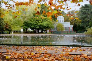 The trials will start and end in West Park, Wolverhampton