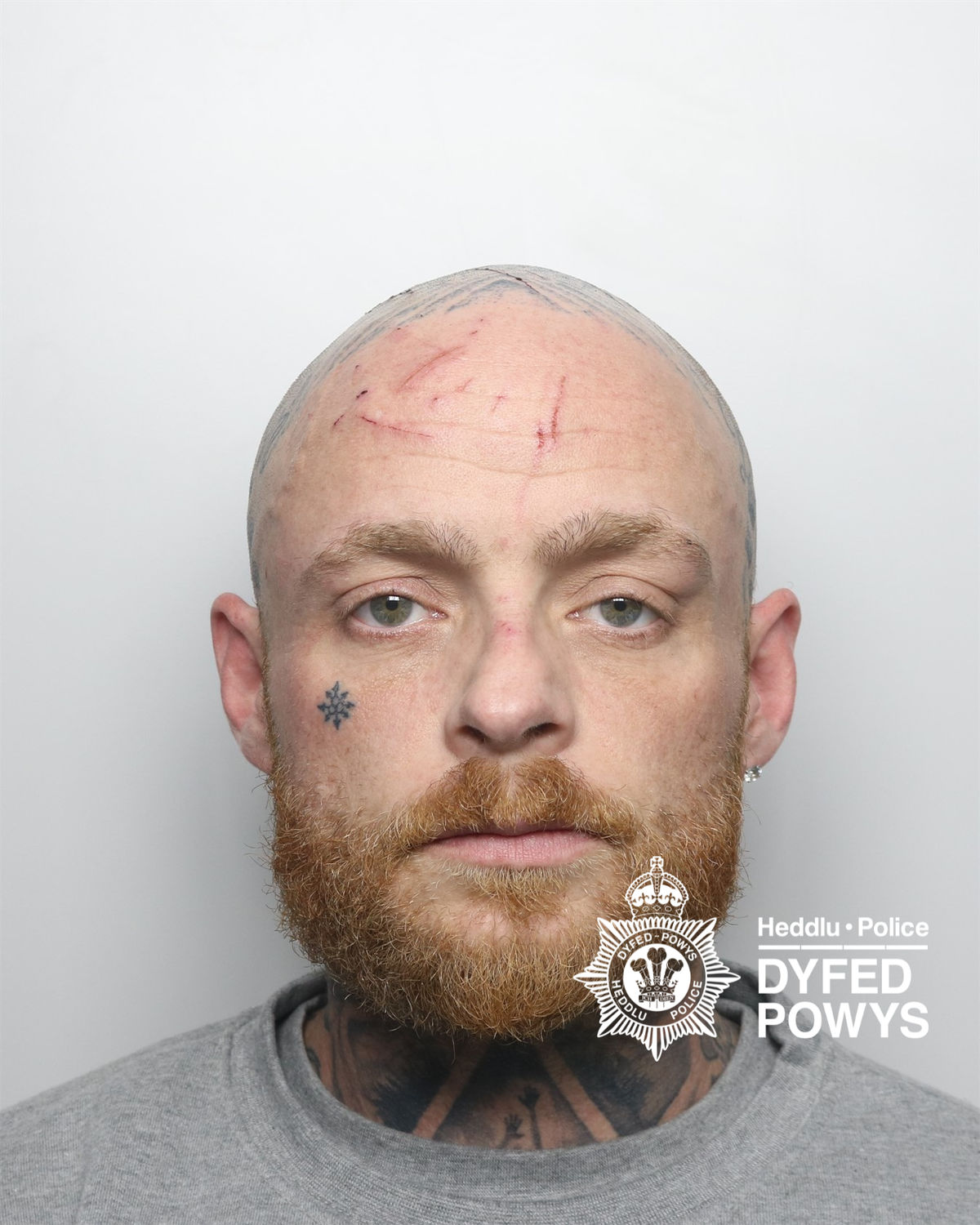 Masked man who attacked Powys pensioner and stole his £35,000 vintage car, jailed for 16 months Masked man who attacked Powys pensioner and stole his £35,000 vintage car, jailed for 16 months