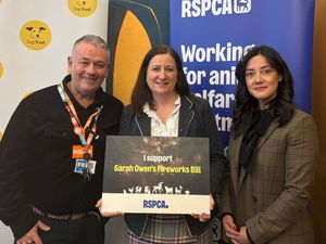 Supporting image for story: 'I'm not being a killjoy here' - MP backs crackdown on 'noisy fireworks'