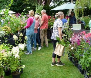 New Summer Plant Fair at Chasewater Country Park This Sunday