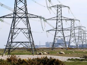 Supporting image for story