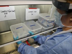Supporting image for story: Eight more coronavirus deaths confirmed in Shropshire as UK death toll passes 20,000