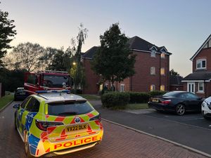 The emergency operation. Photo: Nick Humphreys