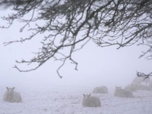 Supporting image for story: End of cold snap ‘in sight’ in Ireland