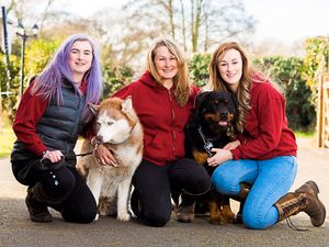 Supporting image for story: What it's like to run a pet hotel