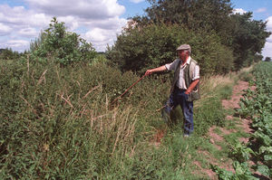 Jim Brotherton points out the site where a V1 flying bomb landed just east of Newport on Christmas Eve, 1944. This picture was taken in 2003.