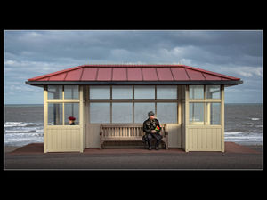 "Watching and Waiting"
(Best Image in the Exhibition Award)