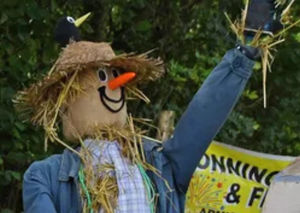Cedric the Scarecrow has been removed from his post, advertising the return of Lilleshall's Scarecrow Festival this weekend