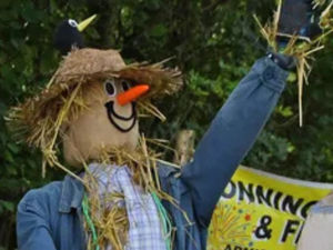 Supporting image for story: Shropshire village's beloved scarecrow 'kidnapped' just days before autumnal festival