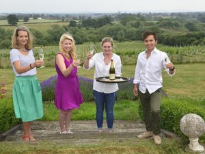 Supporting image for story: Future looks sparkling for vineyard