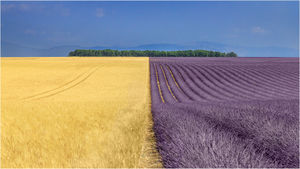 Phil Danby – Nature in Harmony