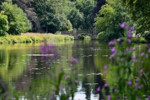 Supporting image for story