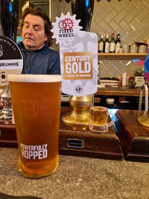 The Century Gold is one of the many drinks that George Price brings through the pub