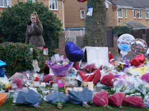 Supporting image for story: GoFundMe page raises almost £60,000 in days to help Solihull lake tragedy families