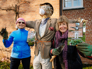 Supporting image for story: Green-fingered tips to boost funds