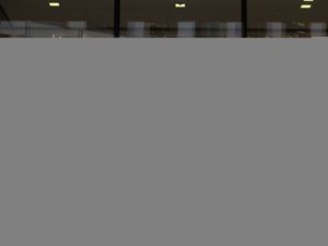 Supporting image for story: Google launching own AI chatbot following success of Microsoft-backed ChatGPT