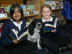 Supporting image for story: Spaniel Betty in class of her own