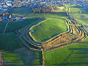 Supporting image for story: Developers' demand putting Shropshire's heritage under great threat, says archaeologist