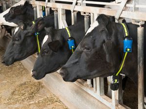 Supporting image for story: Jobs to be cut as Tomlinson's Dairies goes into administration