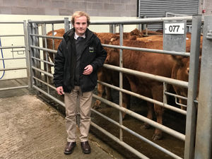 Supporting image for story: Making money from gas-grabbing woodland