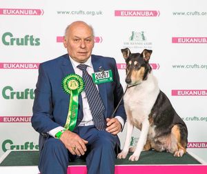 Supporting image for story