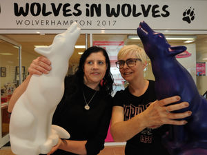 Supporting image for story: Wolves in Wolves pop up shop turns up in Mander Centre - with pictures and video