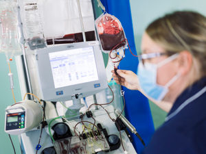 Supporting image for story: NHS on the hunt for ‘precision-matched’ blood donors