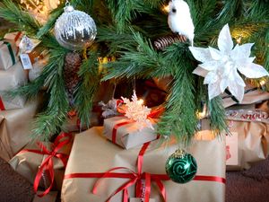 Supporting image for story: Broken oven, lost dentures and ruined raclette among Christmas Day calamities