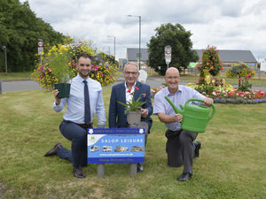 Supporting image for story: Shrewsbury till the town of flowers despite no Flower Show this year