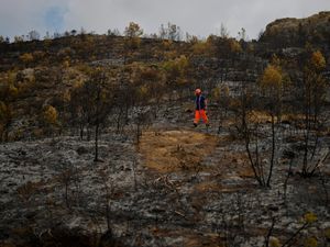 Supporting image for story: Firefighters battle to avoid reignition of France’s largest wildfire in decades