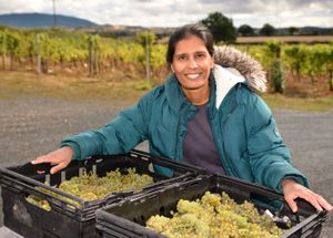 Kiran Chahal with some of Rodington Vineyard's 2025 grapes, at Rodington Vineyard, near Telford on Thursday, September 4, 2025