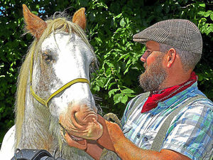 Supporting image for story: Shropshire canal stretch remains open for boat rides thanks to Cracker the horse