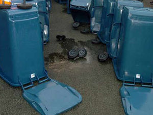 Supporting image for story: Cannock residents to get blue bins