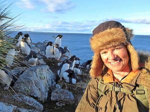Up close with some of the thousands of rock hopper penguins