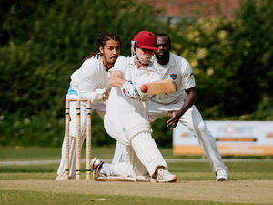 Supporting image for story: Wem wonders are celebrating again